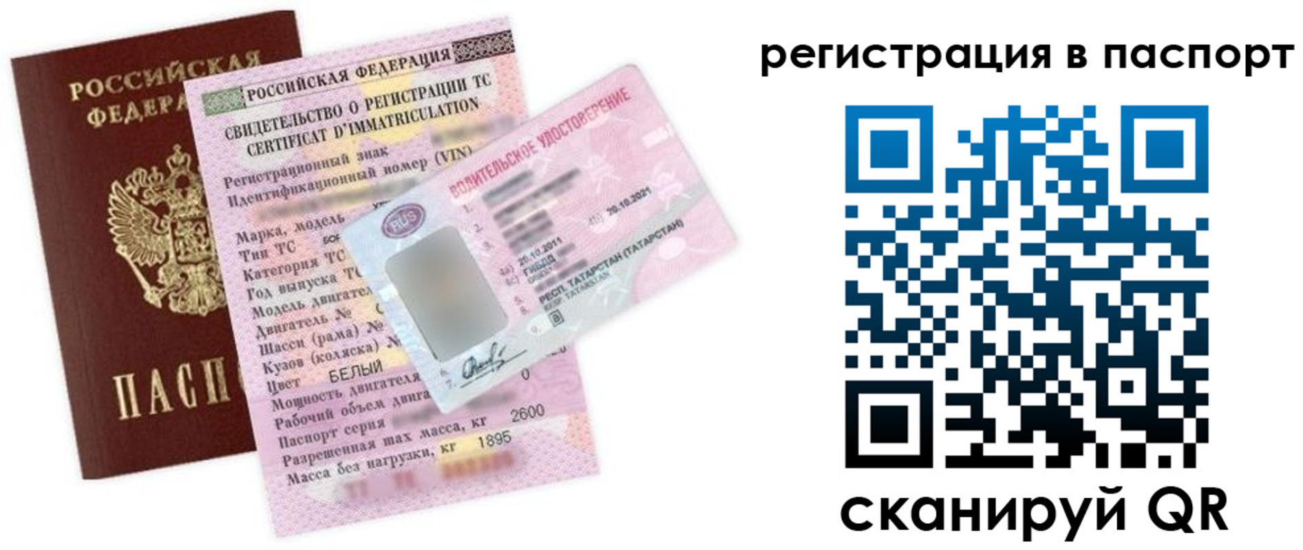 прописка для школы в Лосино-Петровском